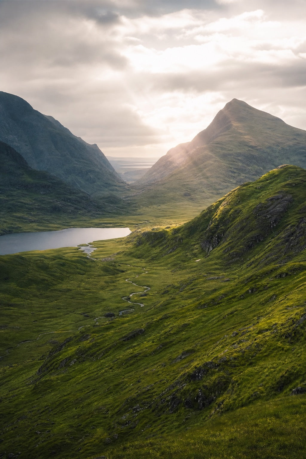 Wilderness